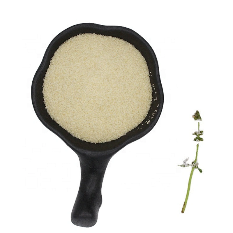 Food Additives For Cheese Grade Price Edible Beef Glatin Transparent Granular Gelatin gelatin manufacturer